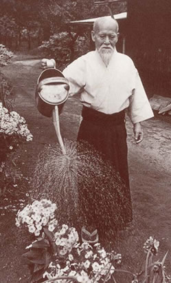 Aikido Founder Morihei Ueshiba watering his garden.