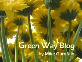 Michael P. Garofalo, Green Way Blog
