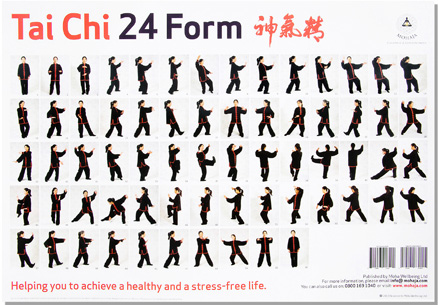 yang style tai chi 108 movements pdf free
