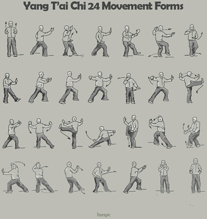 Taiji 37 Postures Martial Applications Download