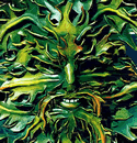 Beloved Order of the Greenman