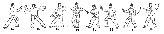 Simplified Standard 24 Movement T'ai Form (Yang 24 Taijiquan): Bibliography, Lessons, Lists, Links, Quotes, Resources, Notes, Instuctions.