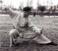 Simplified Standard 24 Movement T'ai Chi Ch'uan Form (Yang 24 Taijiquan ...