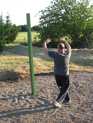 Mike Garofalo practicing "Embrace the Moon" Baguazhang Qigong.